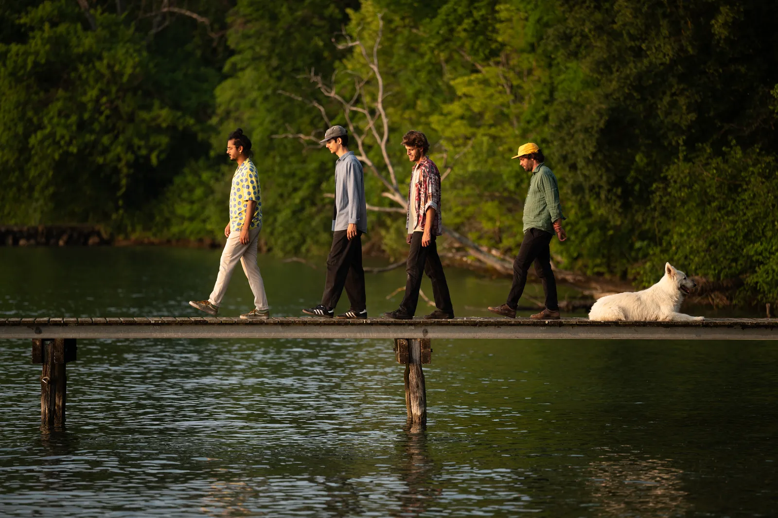 The quartet walking along a low wooden jetty beside a wooded shore, a white dog following them